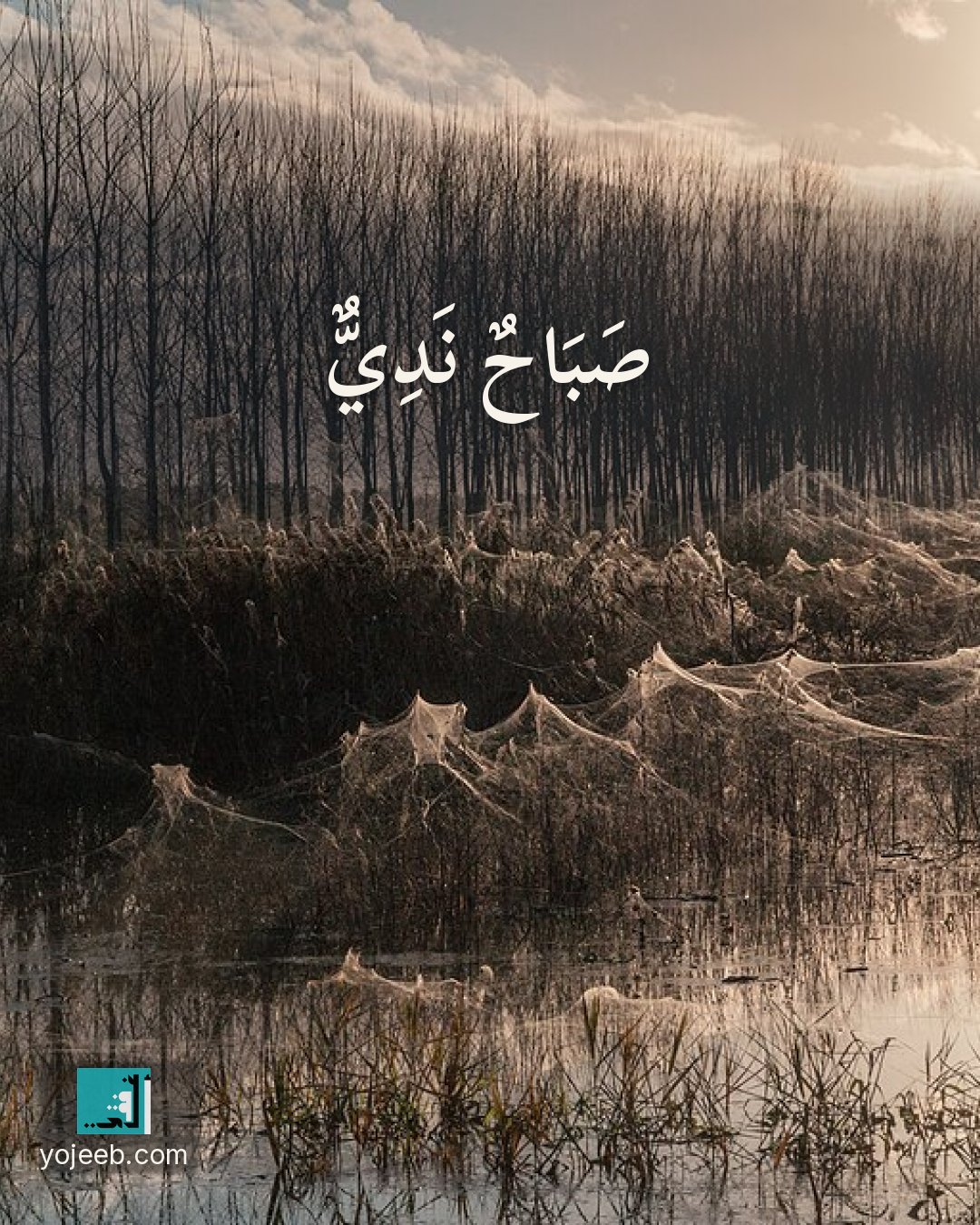 بطاقة صباح الخير — صباح ندي
