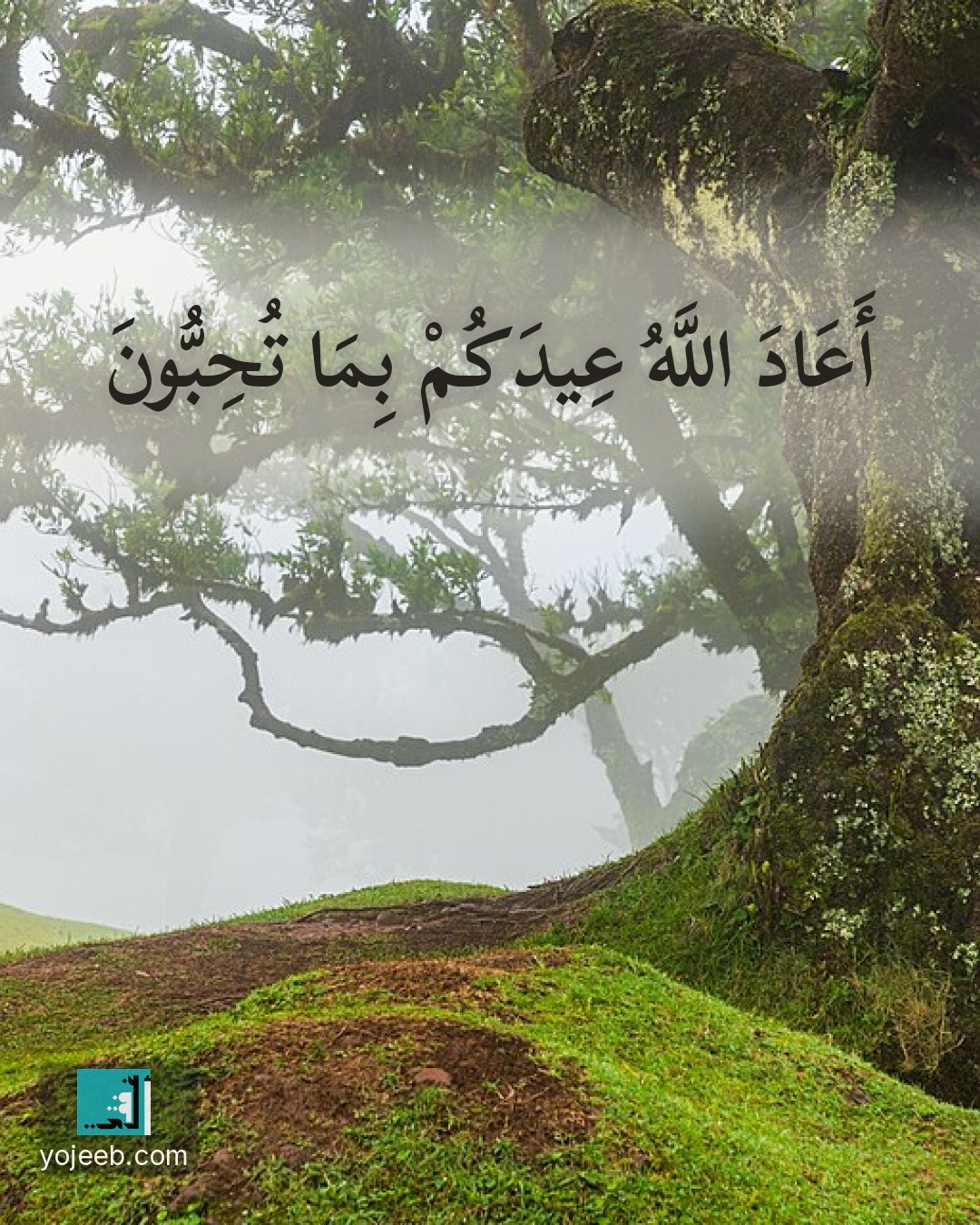 بطاقة تهنئة العيد — أعاد الله عيدك بما تحب