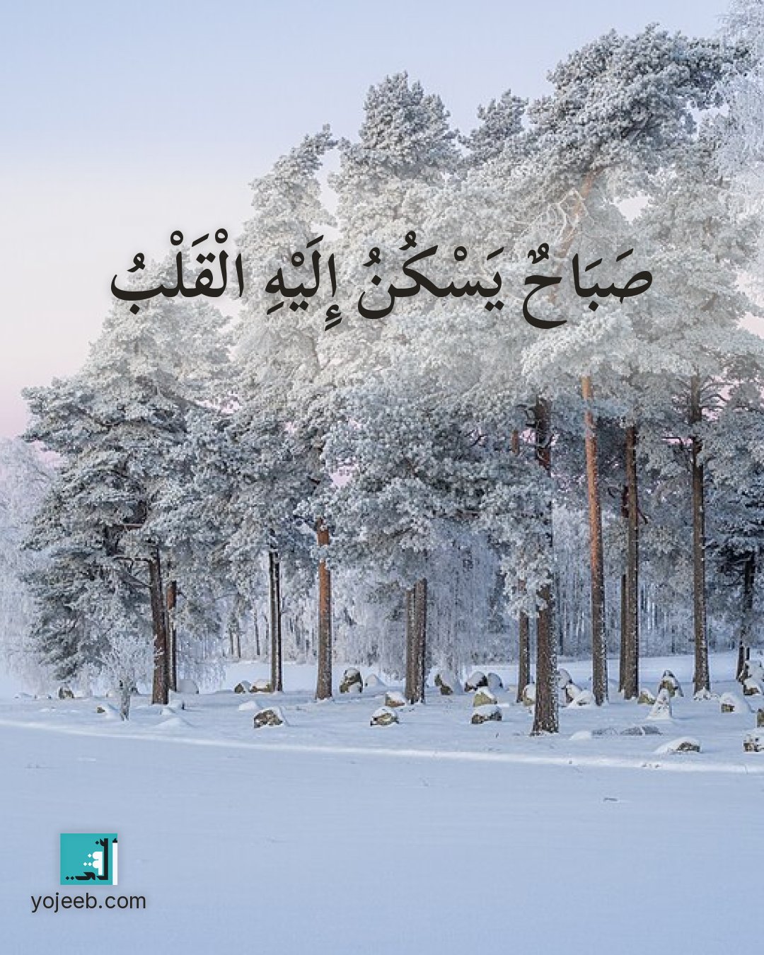 بطاقة صباح الخير — صباح يسكن إليه القلب