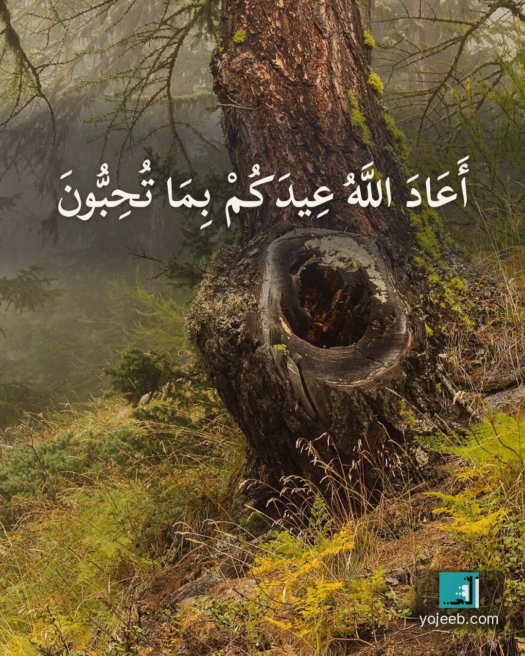بطاقة تهنئة العيد — أعاد الله عيدك بما تحب