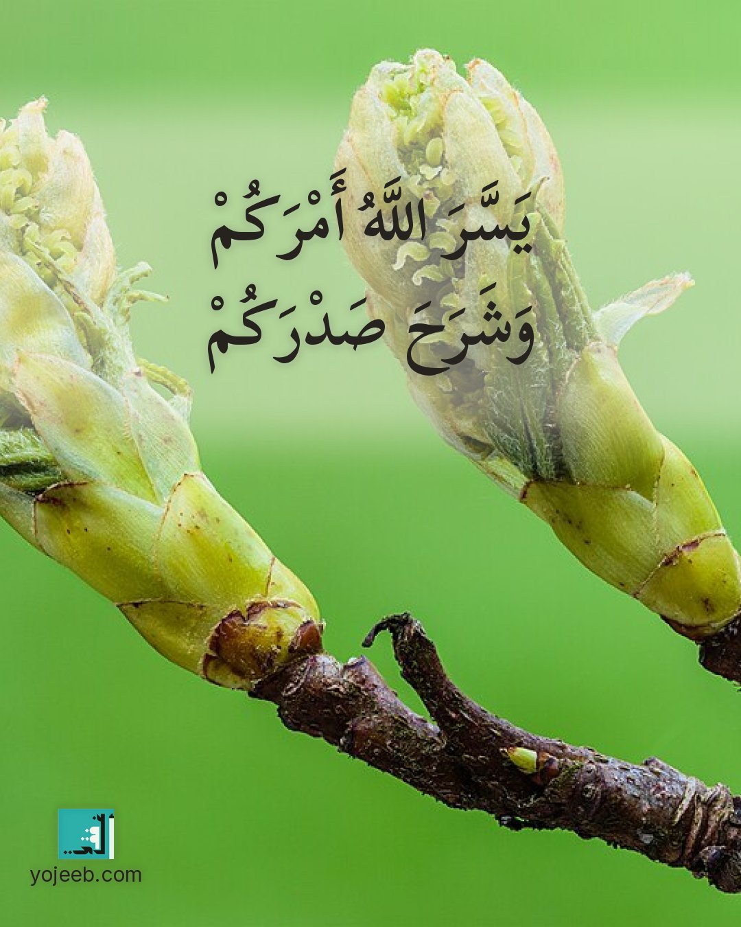 بطاقة تهنئة بالنجاح — يسر الله أمرك وشرح صدرك