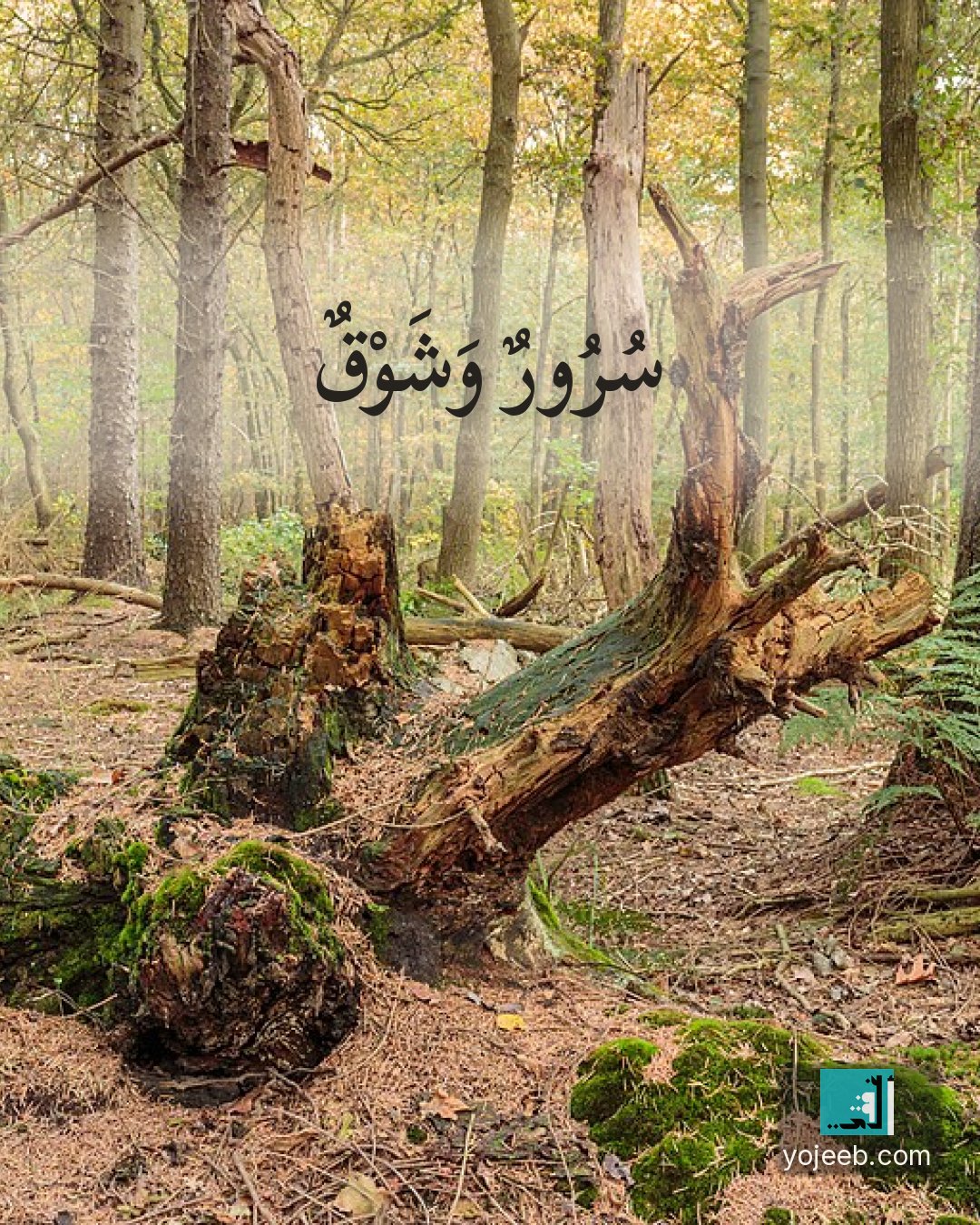 بطاقة اشتياق — سرور وشوق
