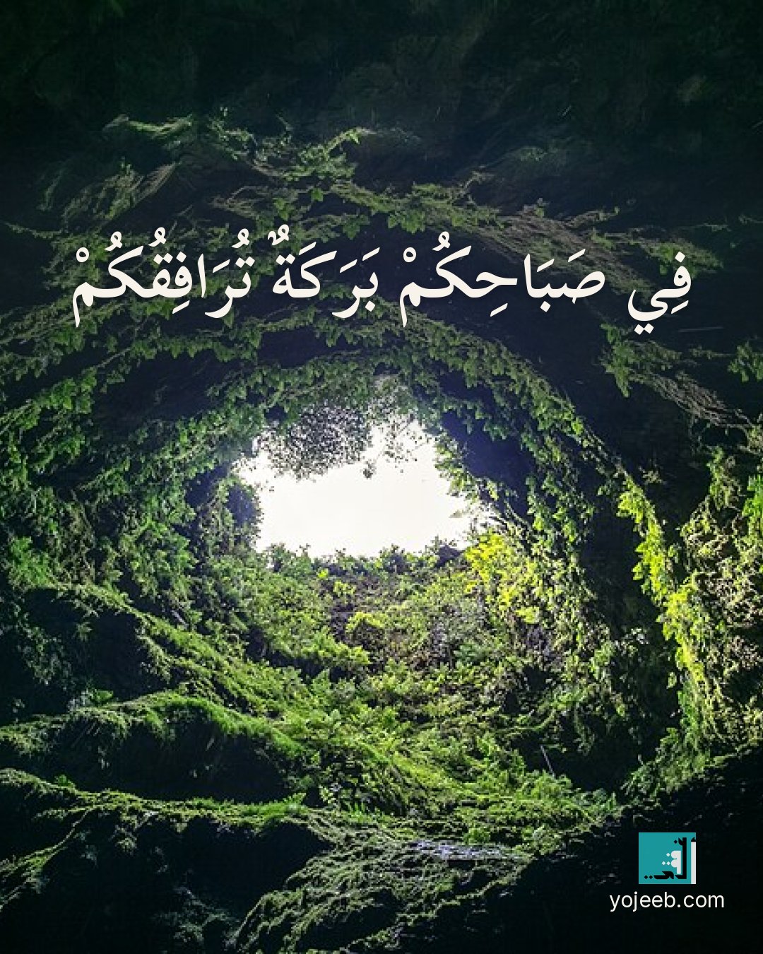 بطاقة صباح الخير — في صباحك بركة ترافقك