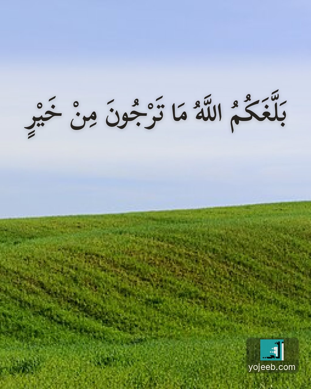 بطاقة آيات تريح القلب — بلغك الله ما ترجو من خير