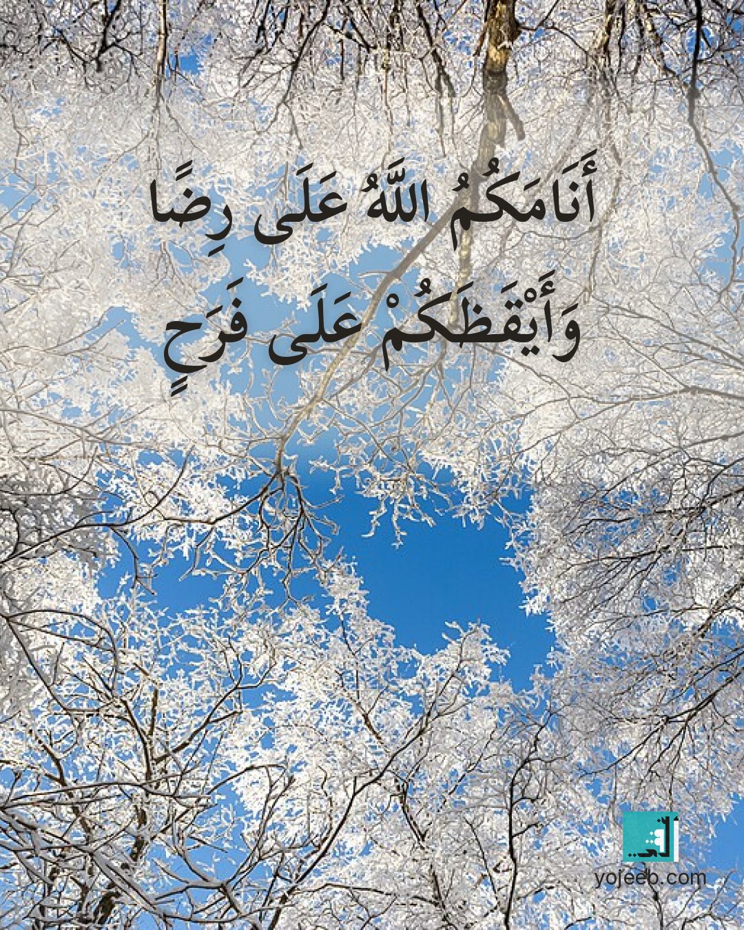 بطاقة تصبحون على خير — أنامك الله على رضا وأيقظك