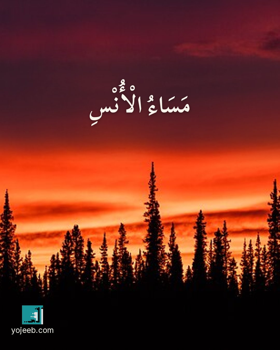 بطاقة مساء الخير — مساء الأنس