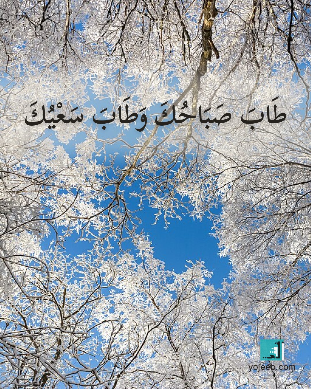 بطاقة صباح الخير على صورة ثلج — طاب صباحك وطاب سعيك