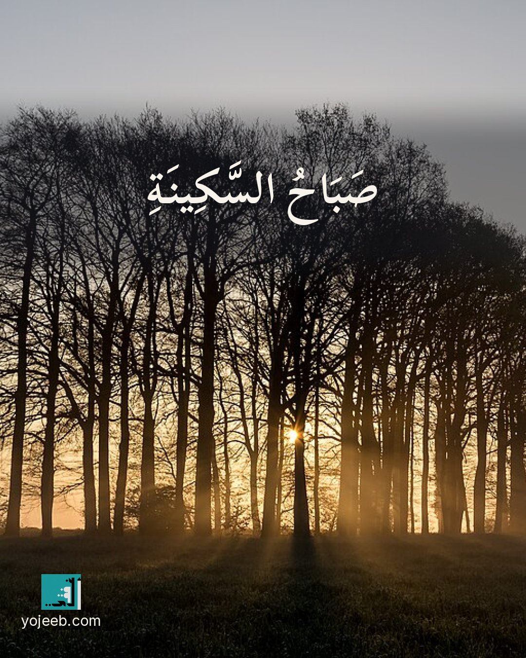 بطاقة صباح الخير — صباح السكينة