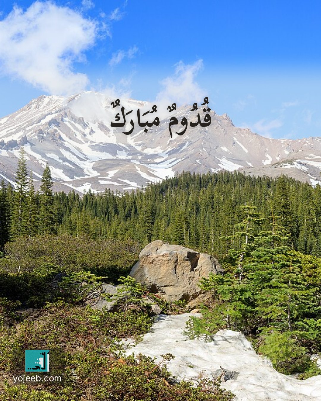 بطاقة تهنئة بالمولود على صورة غابة — قدوم مبارك