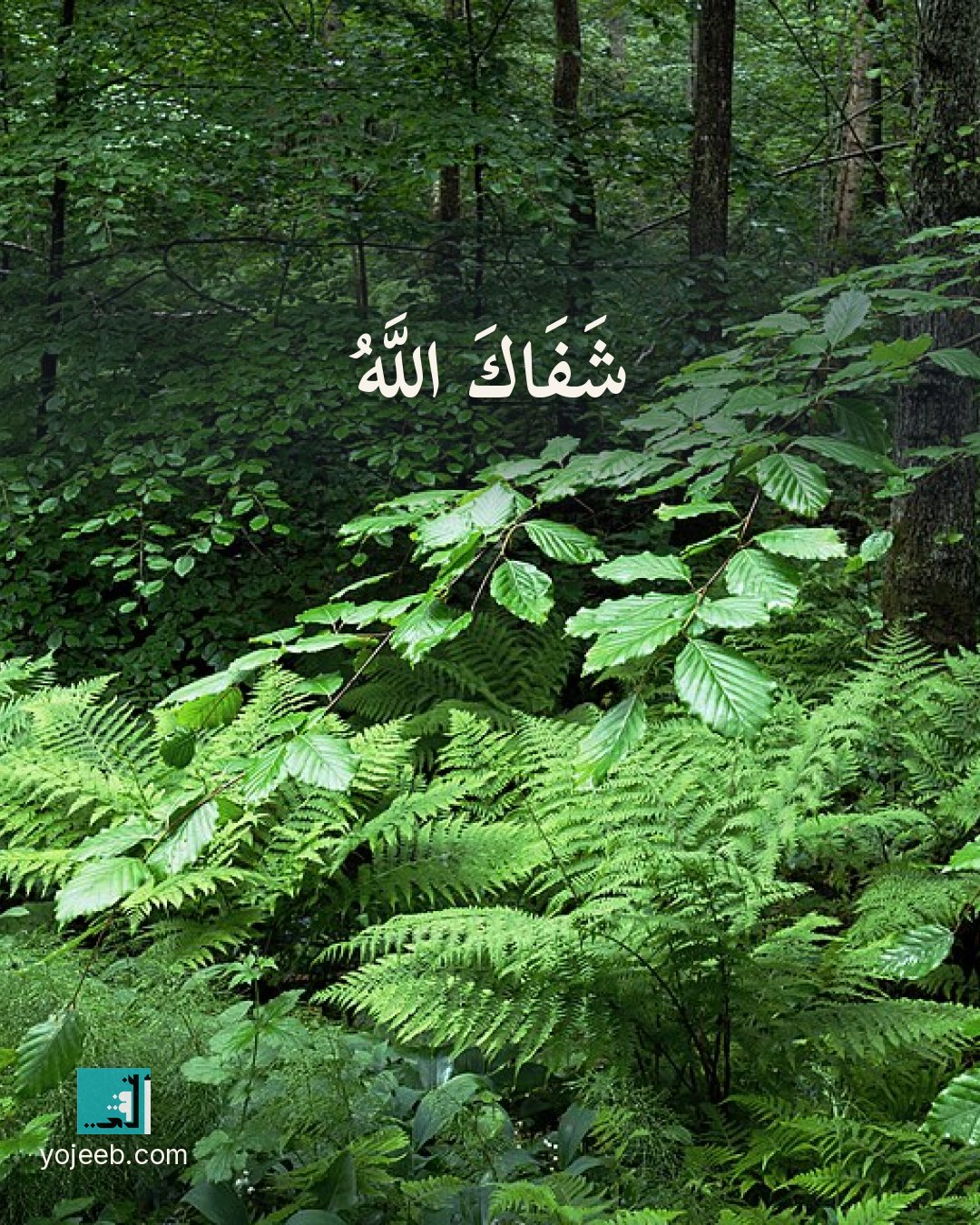 بطاقة دعاء للمريض — شفاك الله