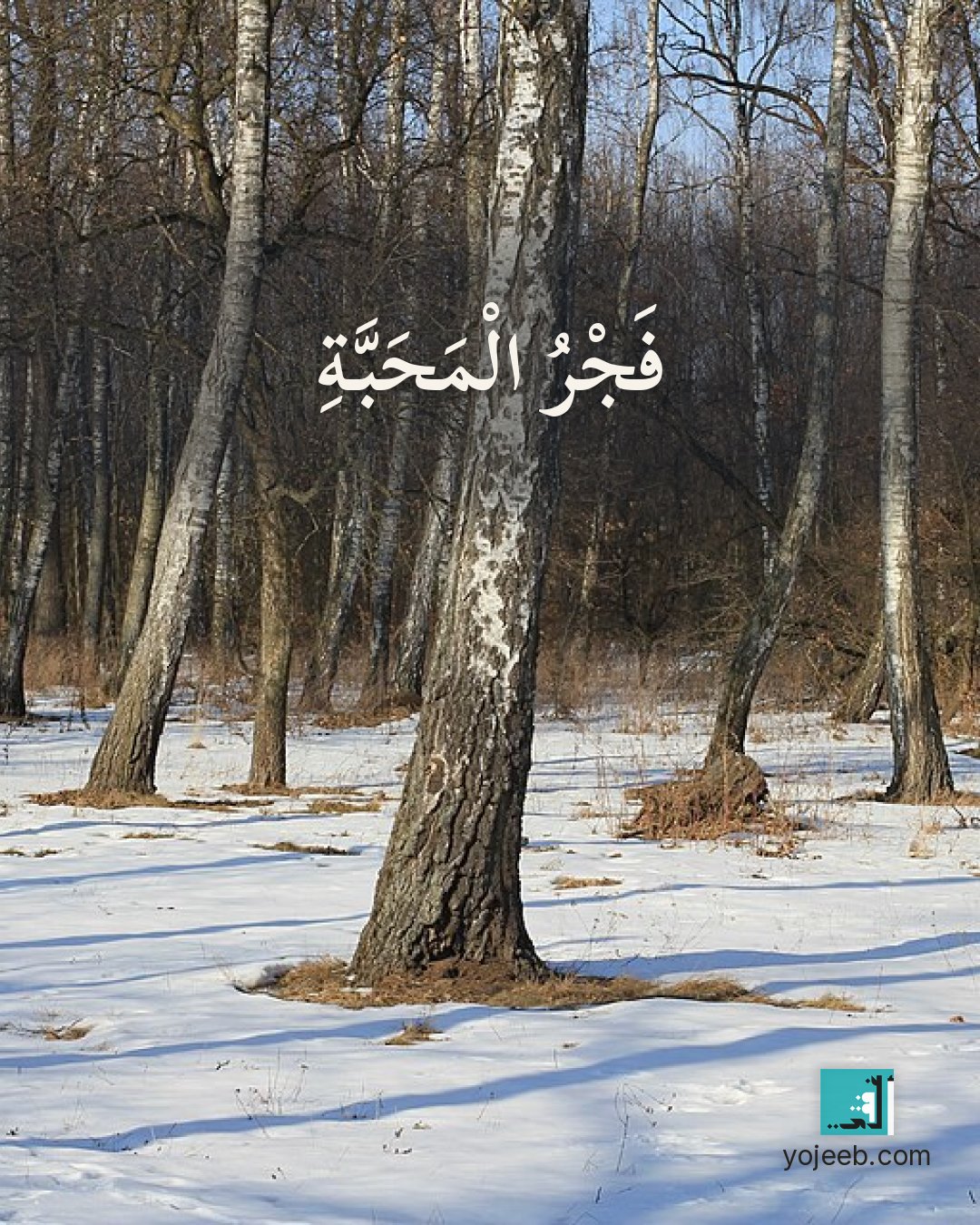 بطاقة الفجر — فجر المحبة