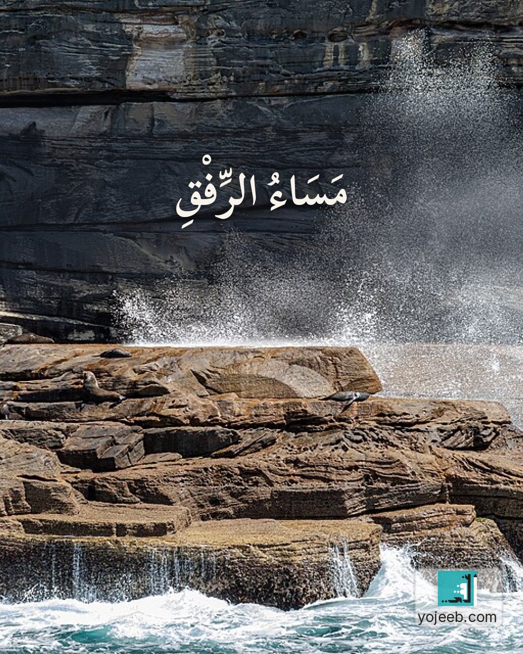 بطاقة مساء الخير على صورة ساحل — مساء الرفق