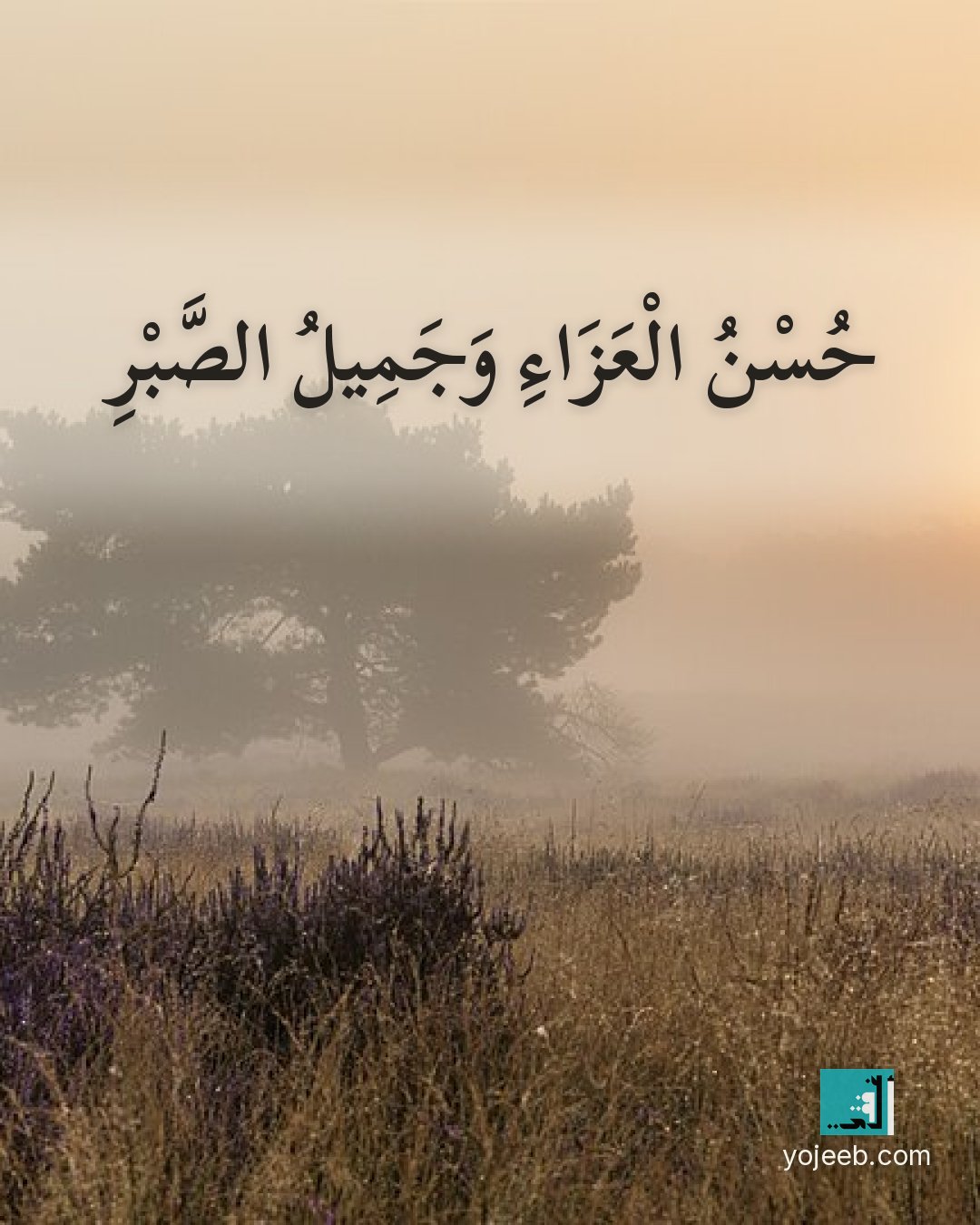 بطاقة عزاء ومواساة — حسن العزاء وجميل الصبر
