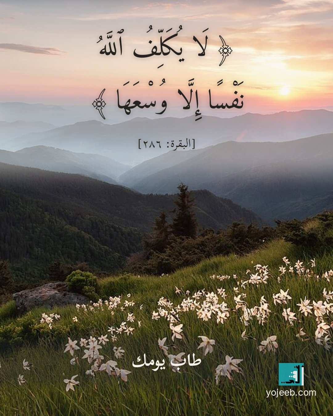 بطاقة آيات تريح القلب — لا يكلف الله نفسا إلا وسعها