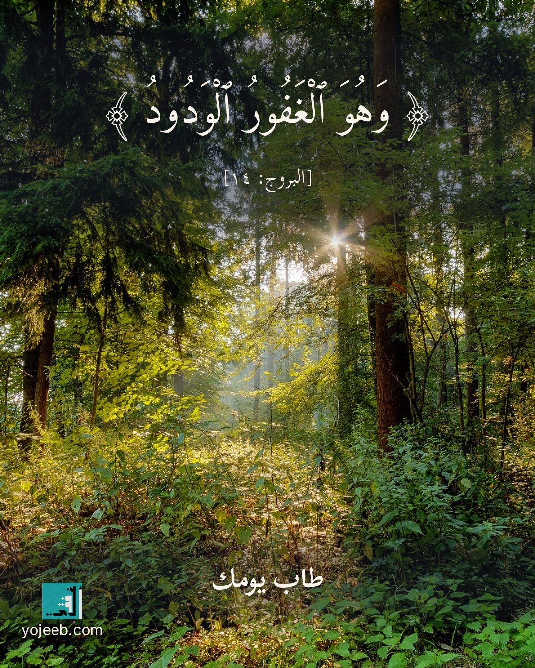 بطاقة آيات تريح القلب — وهو الغفور الودود