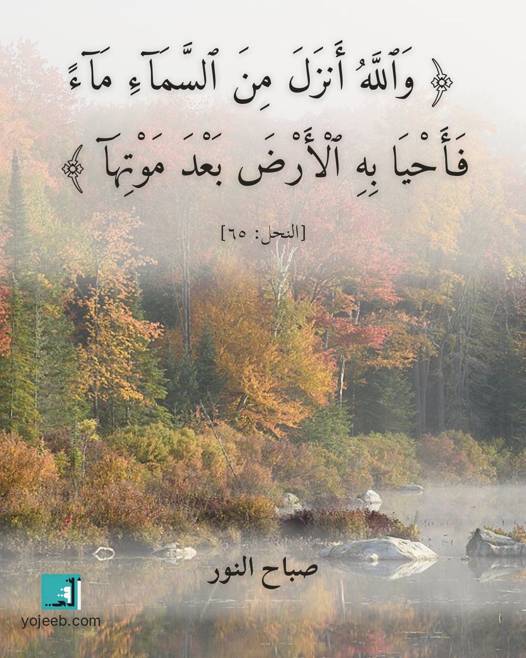 بطاقة صباح الخير — والله أنزل من السماء ماء فأحيا