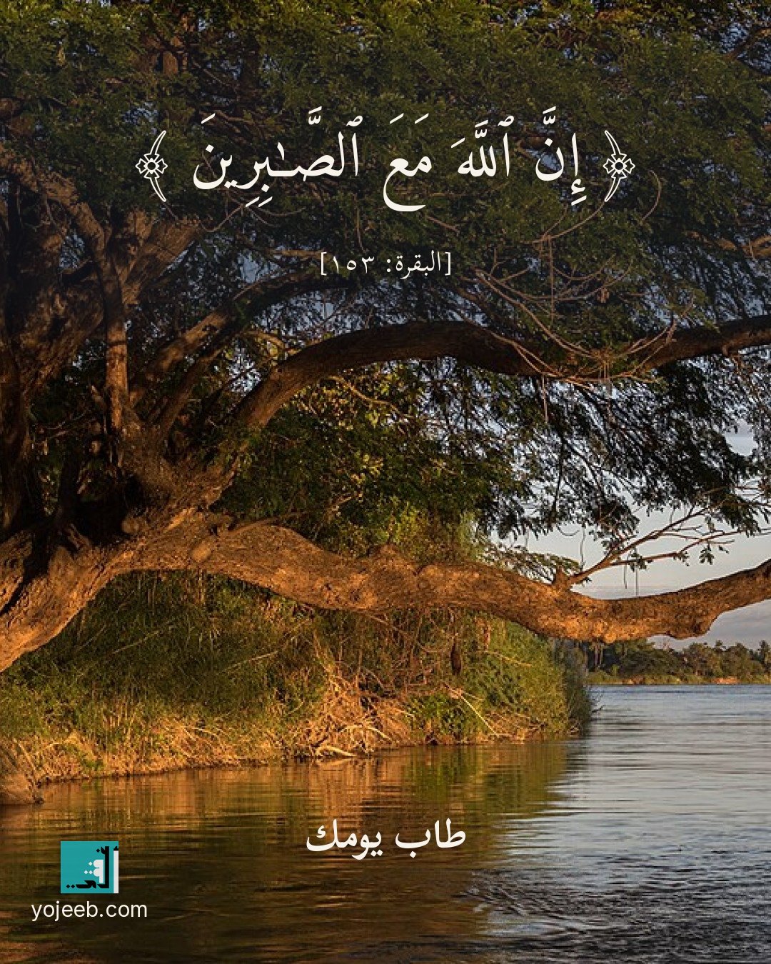 بطاقة آيات تريح القلب — إن الله مع الصبرين