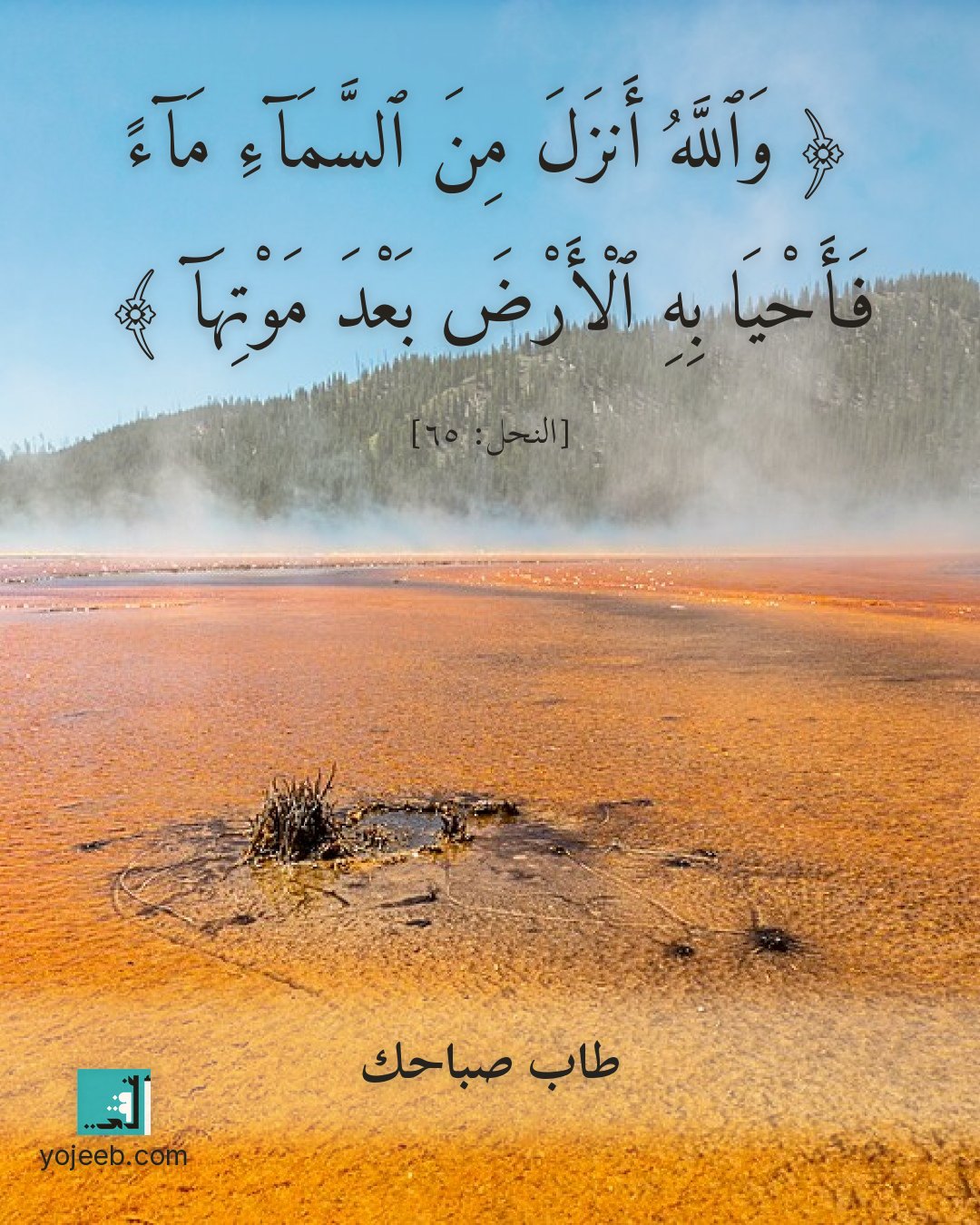 بطاقة صباح الخير — والله أنزل من السماء ماء فأحيا