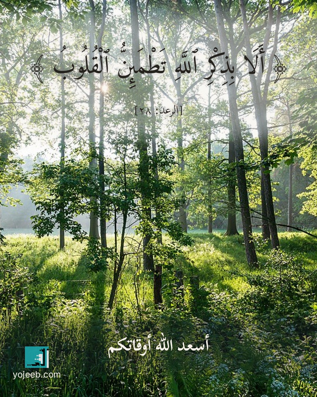 بطاقة آيات تريح القلب — ألا بذكر الله تطمئن القلوب