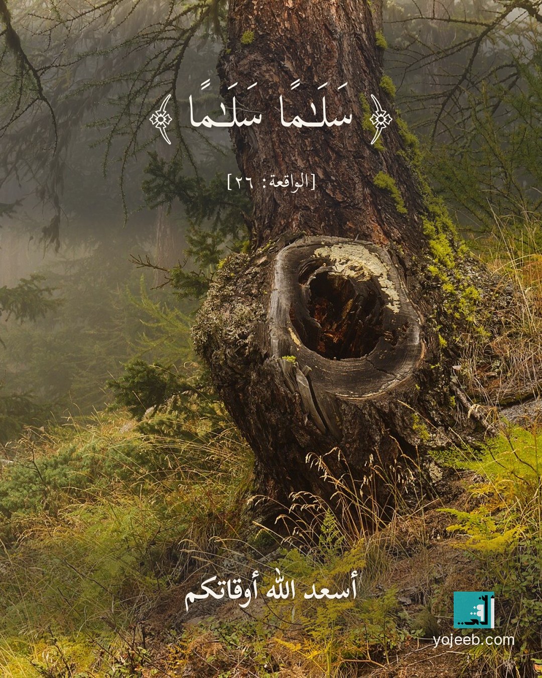 بطاقة تهنئة على صورة شجرة — سلما سلما