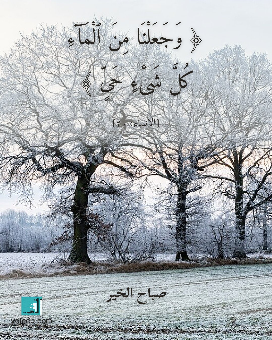 بطاقة صباح الخير — وجعلنا من الماء كل شىء حى