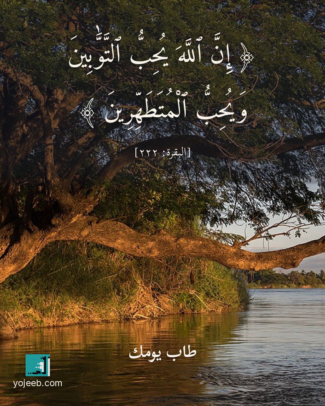 بطاقة آيات تريح القلب — إن الله يحب التوبين ويحب