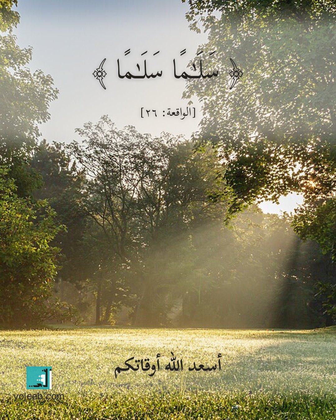 بطاقة تهنئة على صورة ضباب — سلما سلما