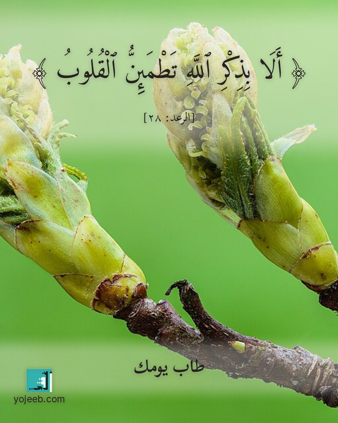 بطاقة آيات تريح القلب — ألا بذكر الله تطمئن القلوب