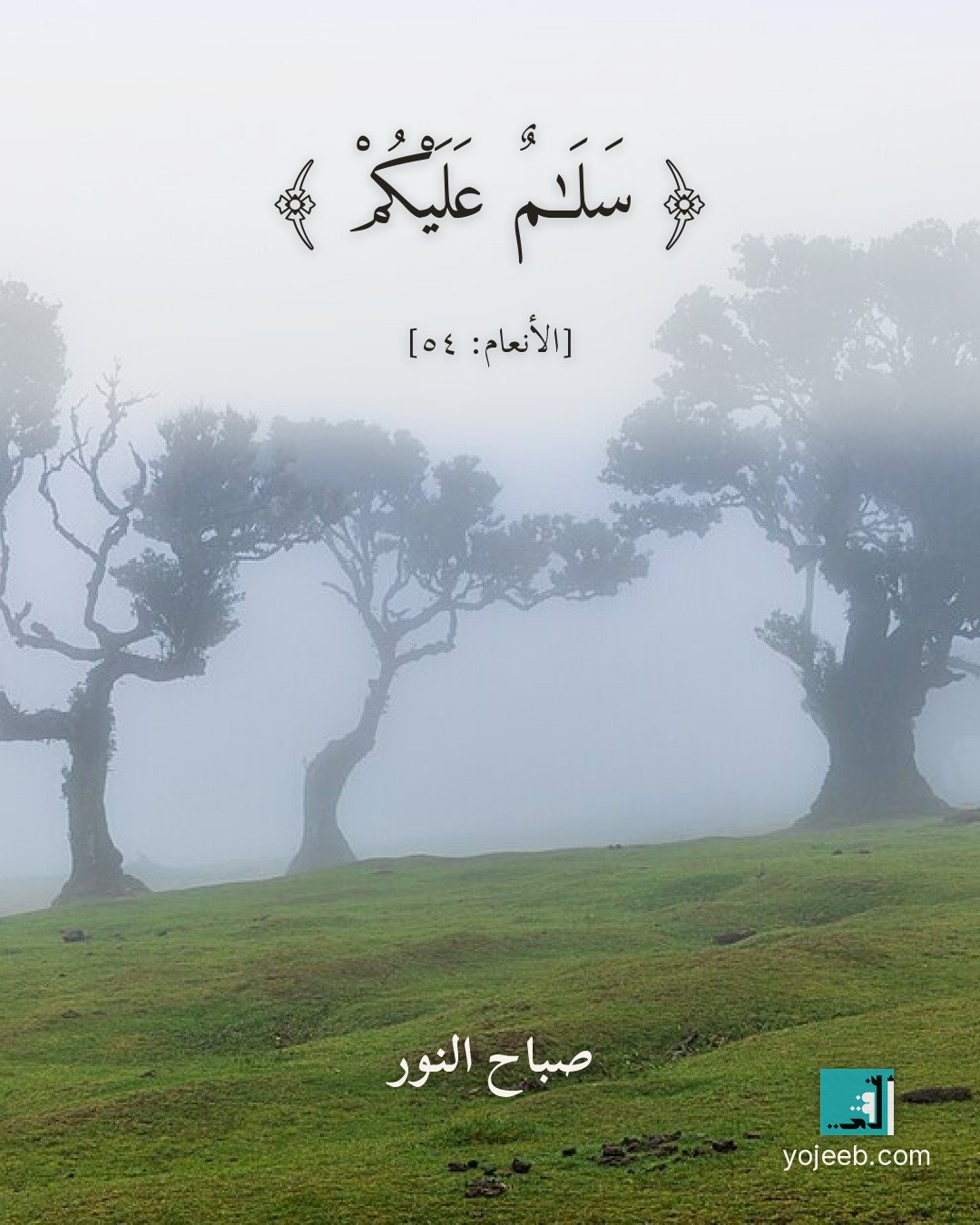 بطاقة صباح الخير على صورة غابة — سلم عليكم