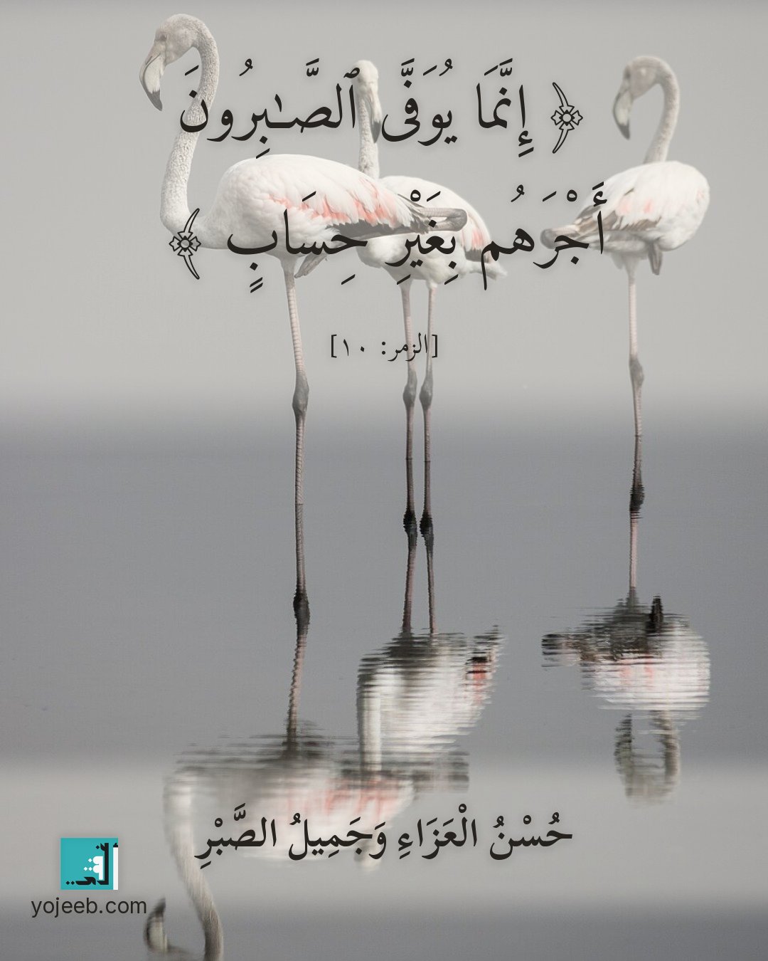 بطاقة عزاء ومواساة — إنما يوفى الصبرون أجرهم بغير