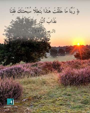 بطاقة دعاء مصورة — ربنا ما خلقت هذا بطلا سبحنك