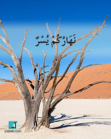 بطاقة الضحى — نهارك يسر