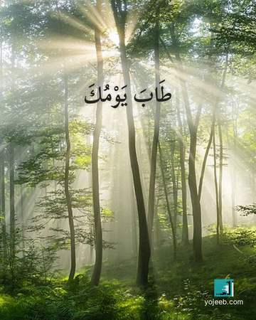 بطاقة آيات تريح القلب — طاب يومك