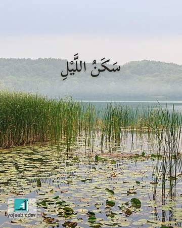 بطاقة تصبحون على خير — سكن الليل