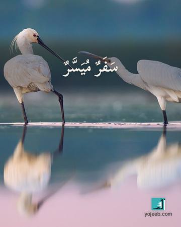 بطاقة دعاء السفر — سفر ميسر