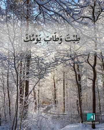بطاقة صباح الخير — طبت وطاب يومك