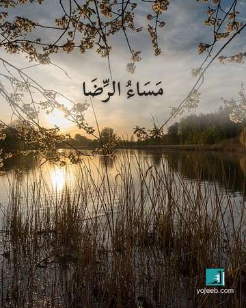 بطاقة مساء الخير — مساء الرضا