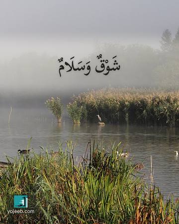 بطاقة اشتياق — شوق وسلام