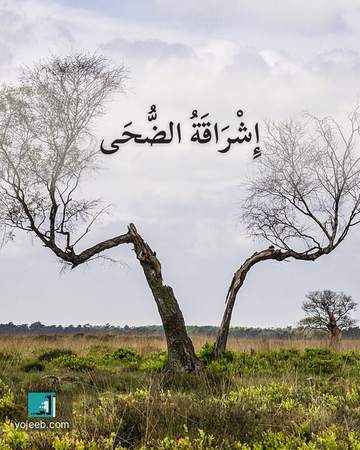 بطاقة الضحى — إشراقة الضحى