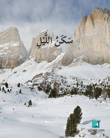 بطاقة تصبحون على خير — سكن الليل