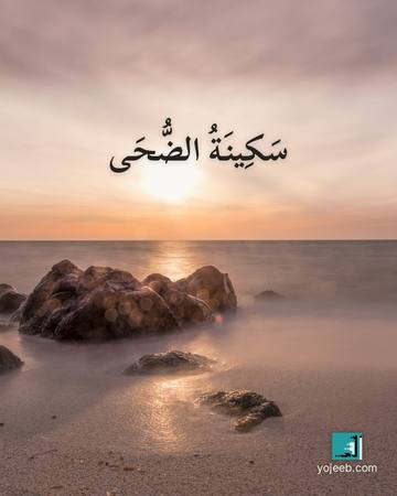 بطاقة الضحى — سكينة الضحى