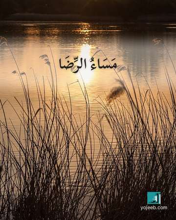 بطاقة مساء الخير — مساء الرضا