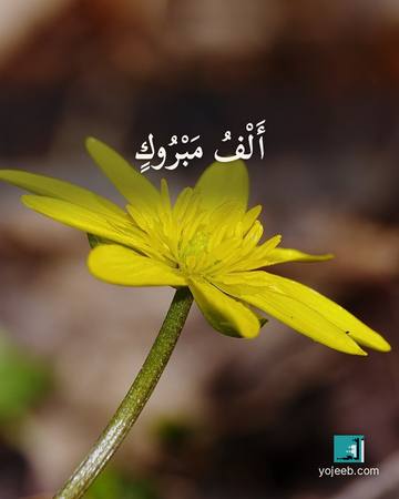 بطاقة تهنئة — ألف مبروك