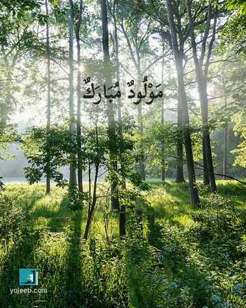 بطاقة تهنئة بالمولود — مولود مبارك
