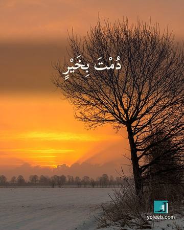 بطاقة آيات تريح القلب — دمت بخير
