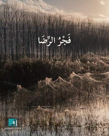 بطاقة الفجر — فجر الرضا