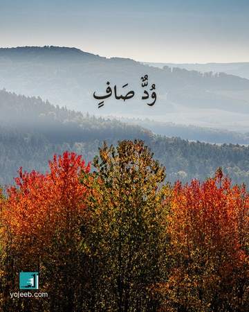 بطاقة اشتياق — ود صاف