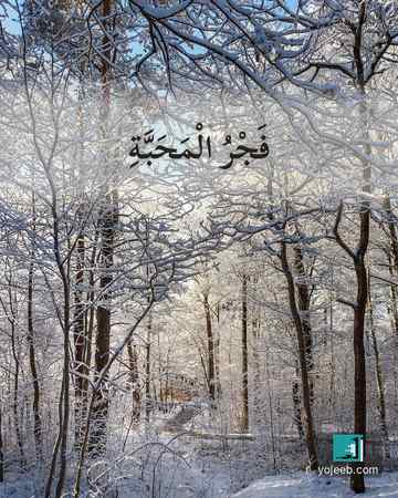 بطاقة الفجر — فجر المحبة