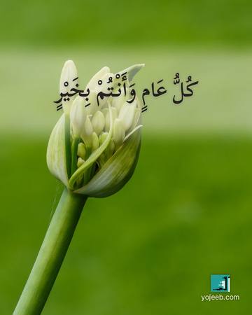 بطاقة تهنئة — كل عام وأنتم بخير