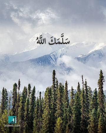 بطاقة آيات تريح القلب — سلمك الله